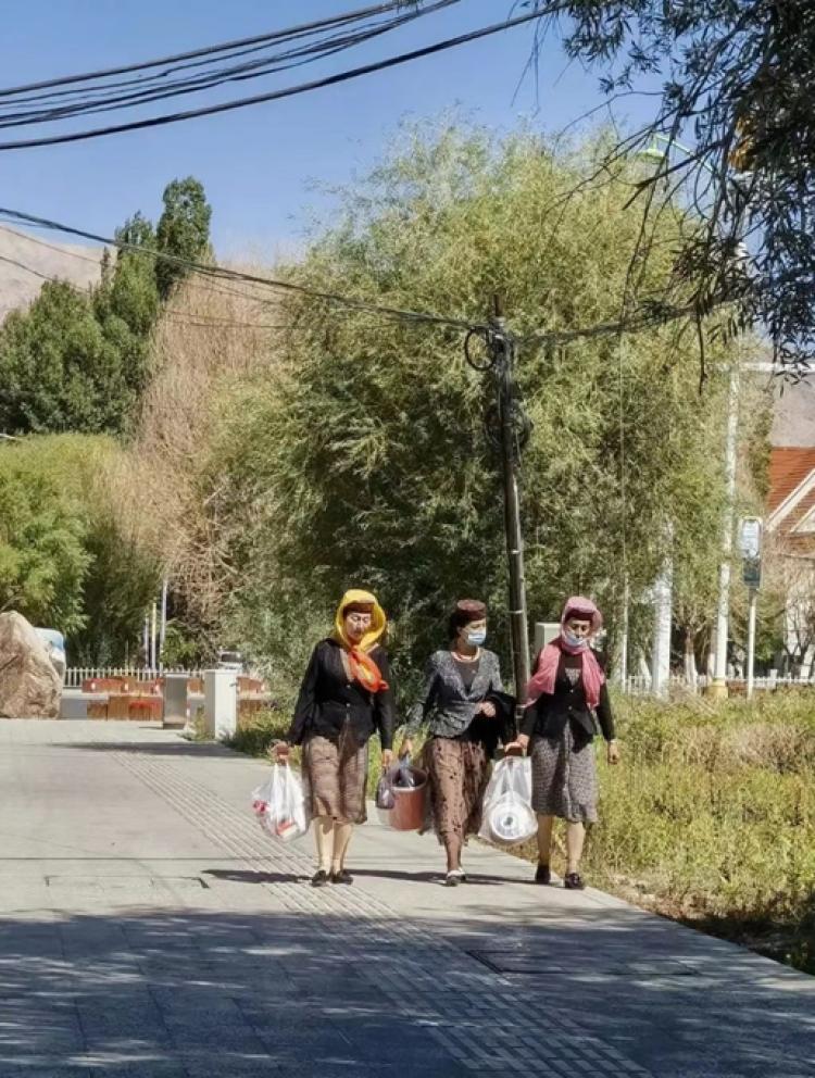 李娟的冬牧场,李娟冬牧场经典语录