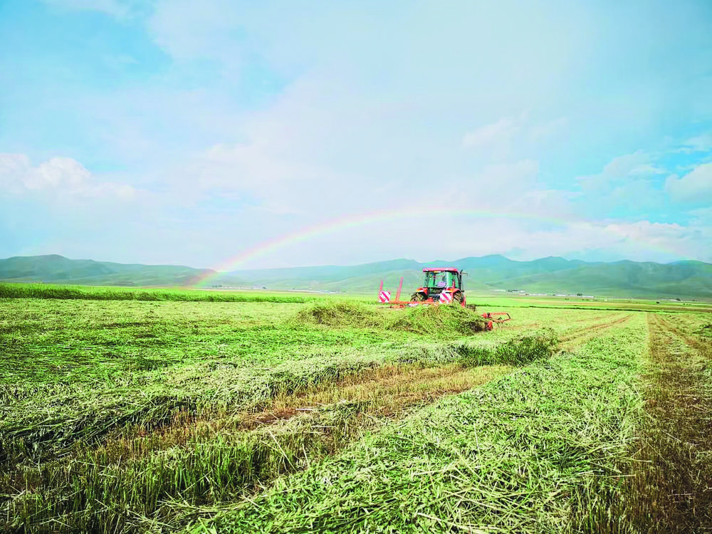 盐碱荒滩变身生态绿洲,盐碱地综合利用和现代农业发展