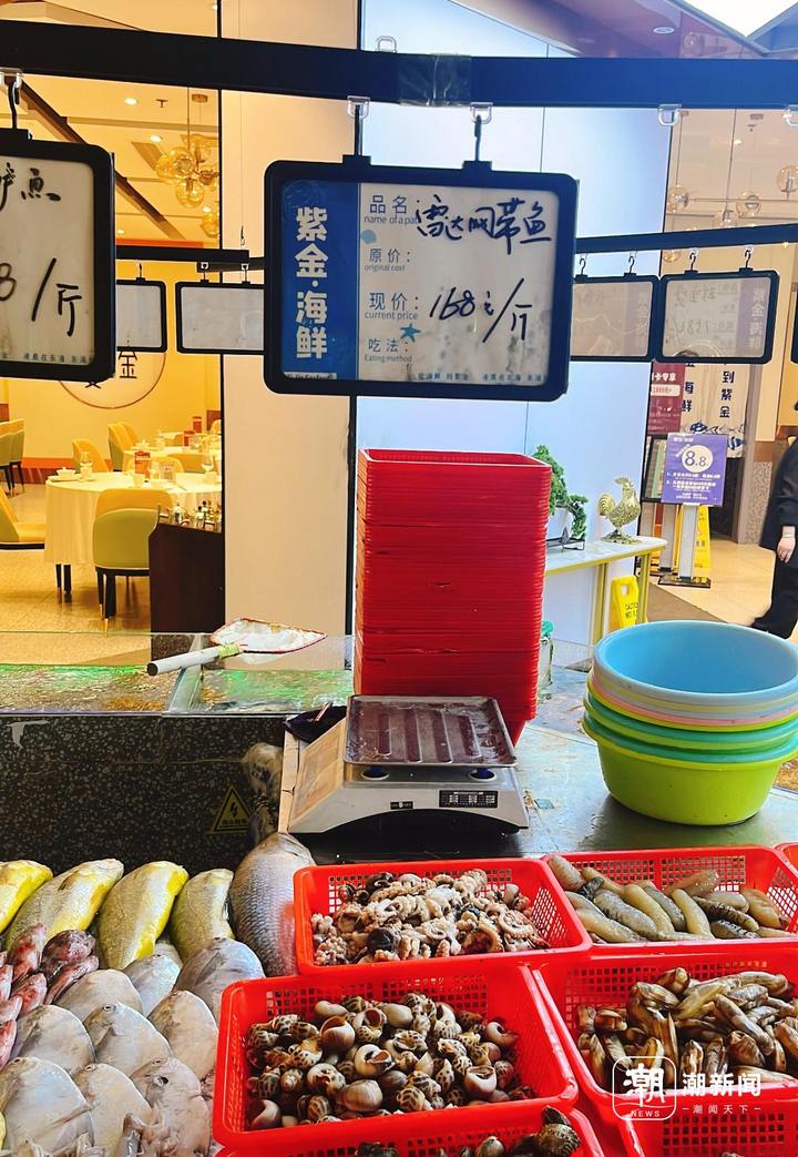 记者帮丨一斤168元，我被带鱼背刺了吗？这带鱼究竟什么来头？