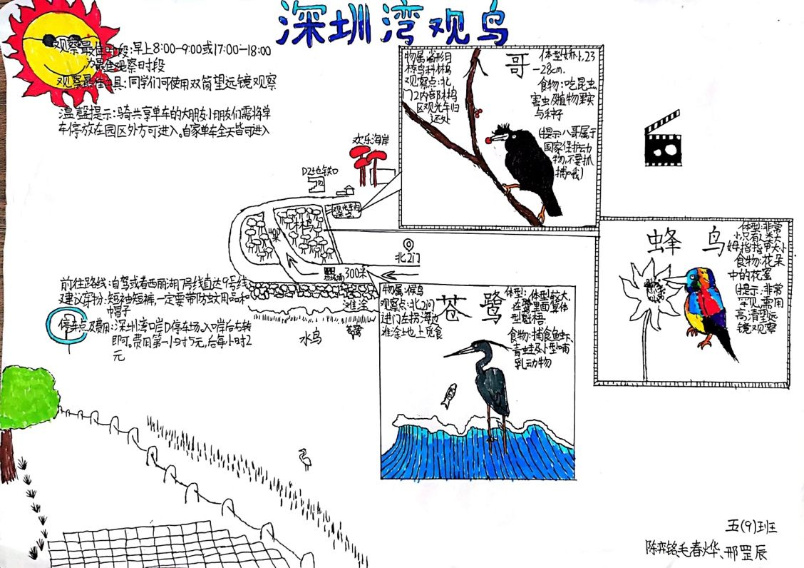 积极生长！项目式学习掀起西丽小学课程改革热潮