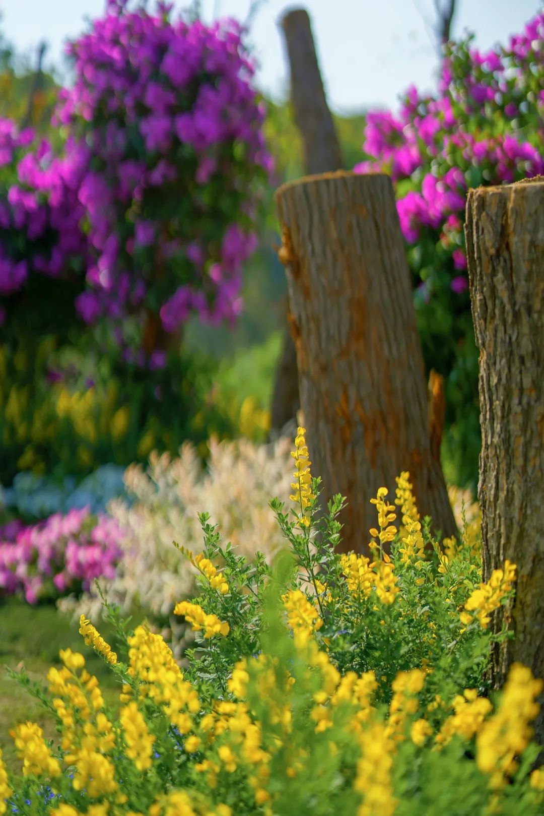 “i人”or“e人”？MBTI充电指南来袭，在华新尽情做自己！