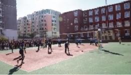 五育并举融合育人体育培训心得,校长分享管理经验