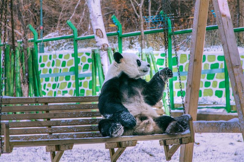 团购订单大量到货,团购订单最近