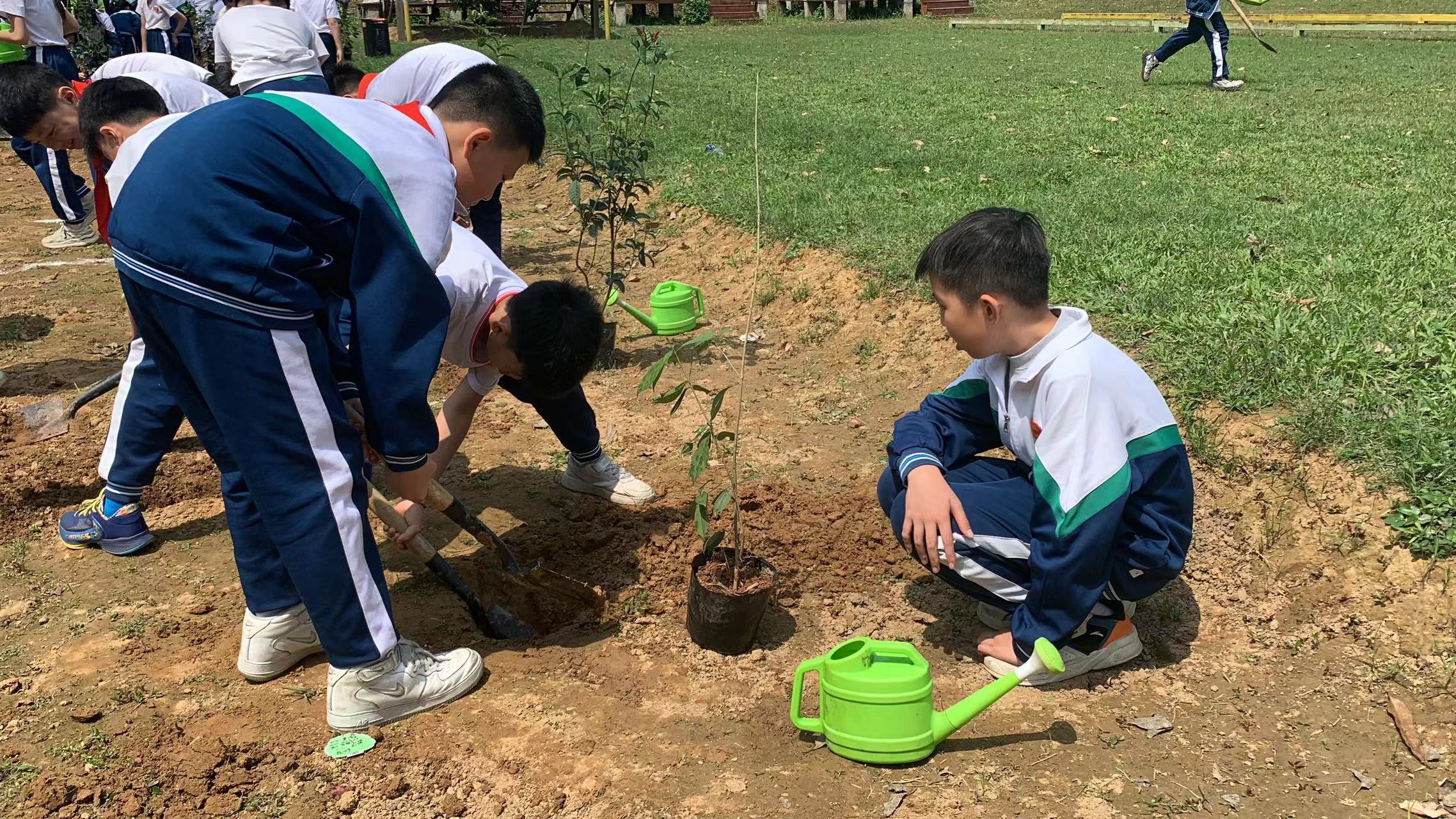 植树研学活动,植树节研学游活动