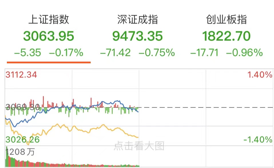 大盘冲高回落创业板强势补涨,创业板短线暴跌