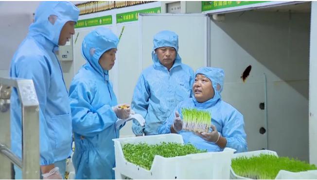 爬楼轮椅创业方案,轮椅青年电商创业