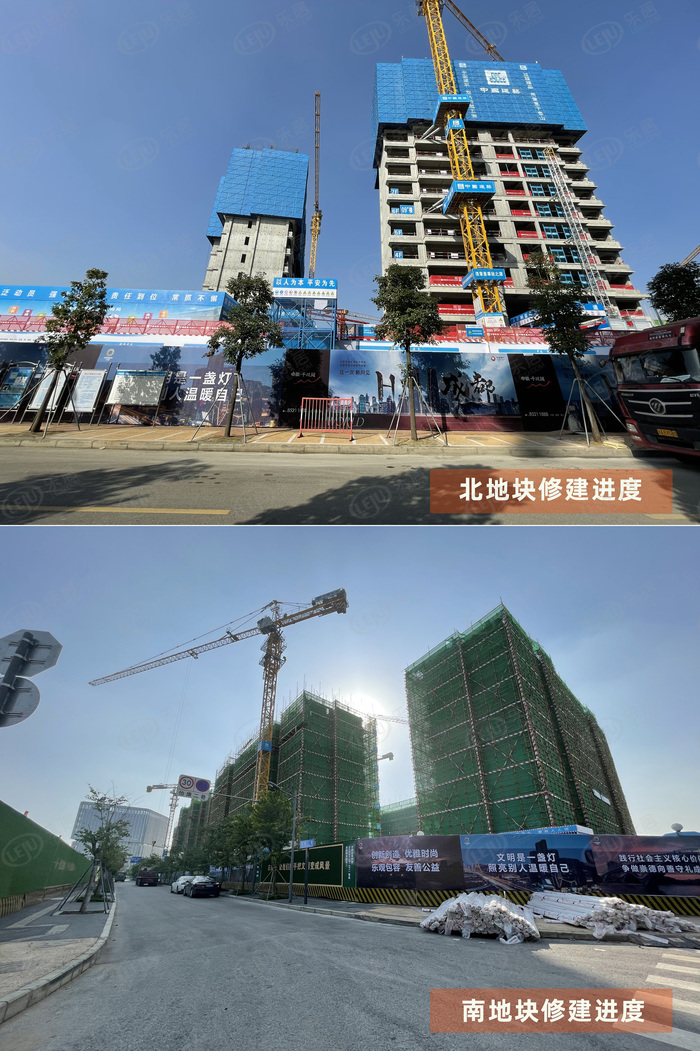 好住东廊竹,好住