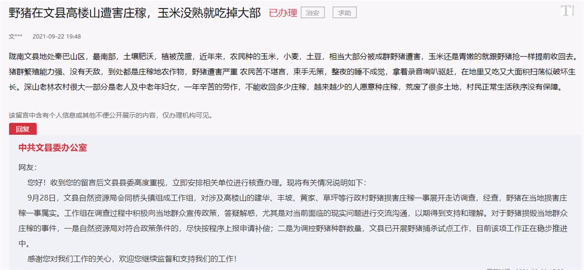 野猪泛滥成灾遭通缉,野猪泛滥成灾最新消息