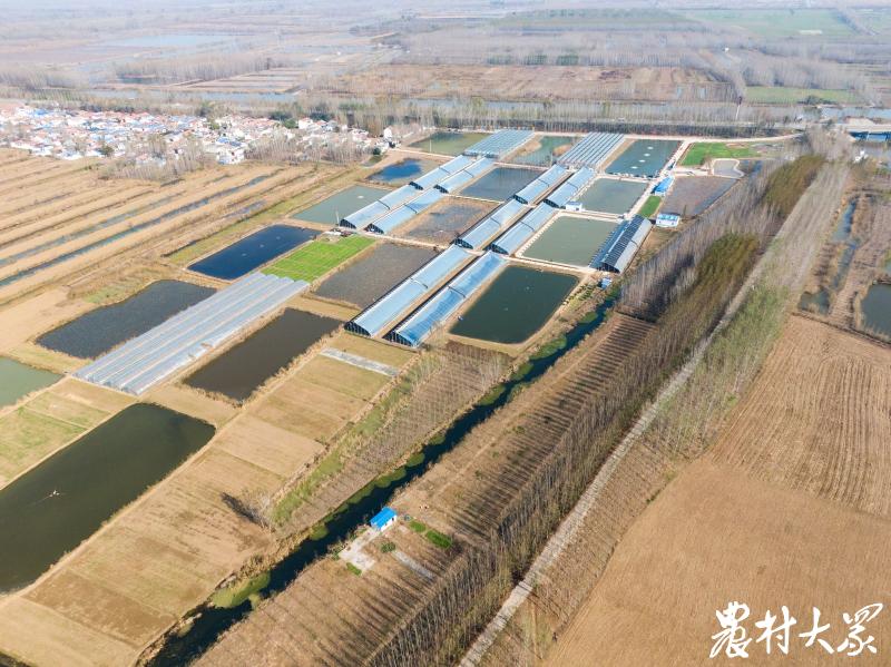 先试验后示范再推广,先试点后推广体现了什么东西