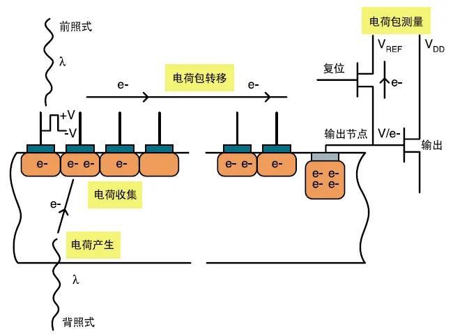 带你认识mlcc电容,带你认识ufc的选手
