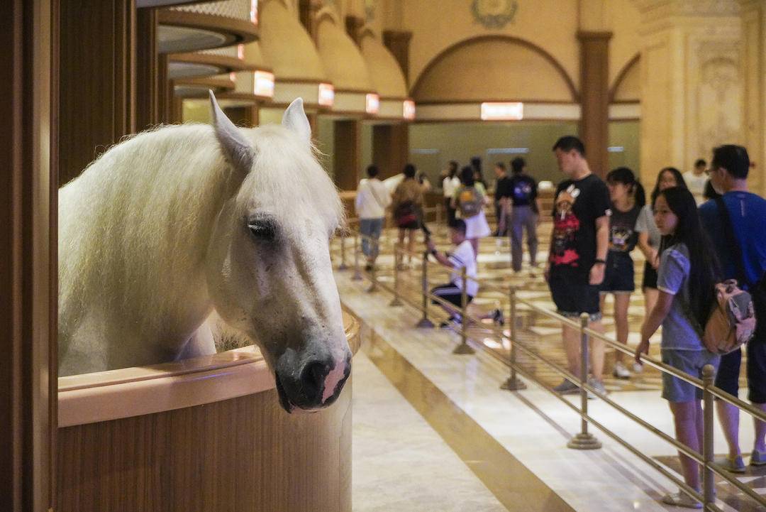 国家体育产业示范基地名单,江苏省体育特色休闲小镇名单