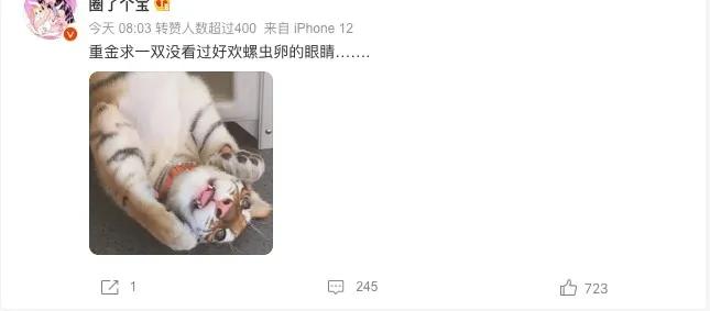 好欢螺螺蛳粉的正确煮法,好欢螺柳州螺蛳粉怎么样