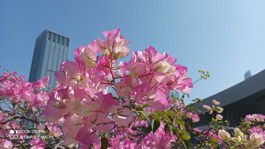 酷派cool20pro星空限定版评测视频,酷派cool20pro评测黄色实图