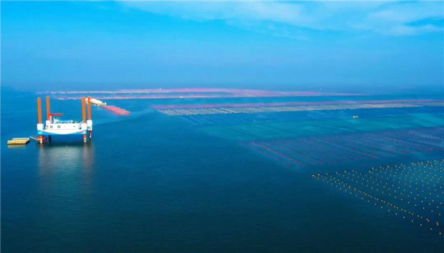 威海蓝碳科技,威海南海蓝碳