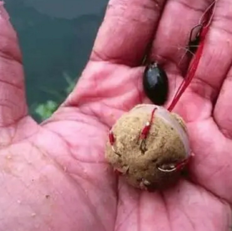 冬季矶竿打串钩的技巧,矶竿串钩绑法大全