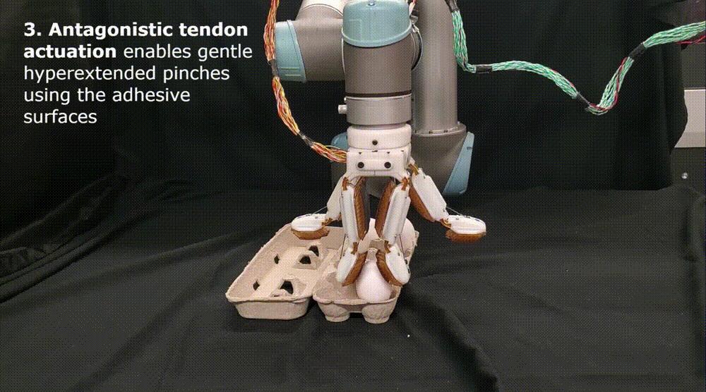 斯坦福机器人进化,斯坦福机器人跳跃