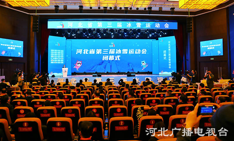 河北省第三届冰雪运动会冰球决赛,河北省第三届冰雪运动会