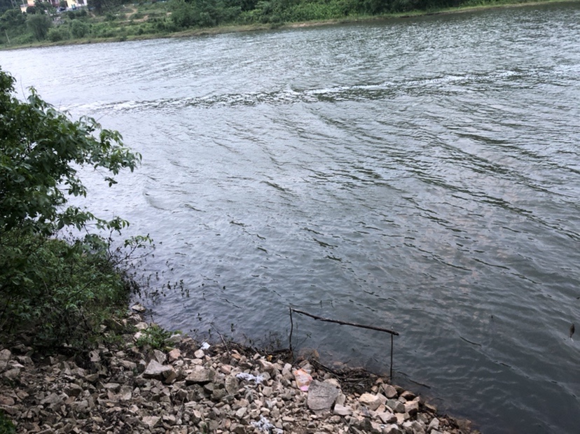 2021打龟爆护同在，未来渔你同行