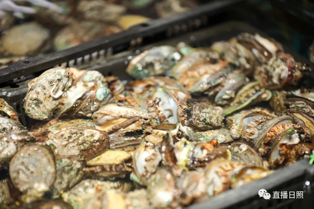 日照当季海鲜价格,今年春节海鲜多少钱一斤