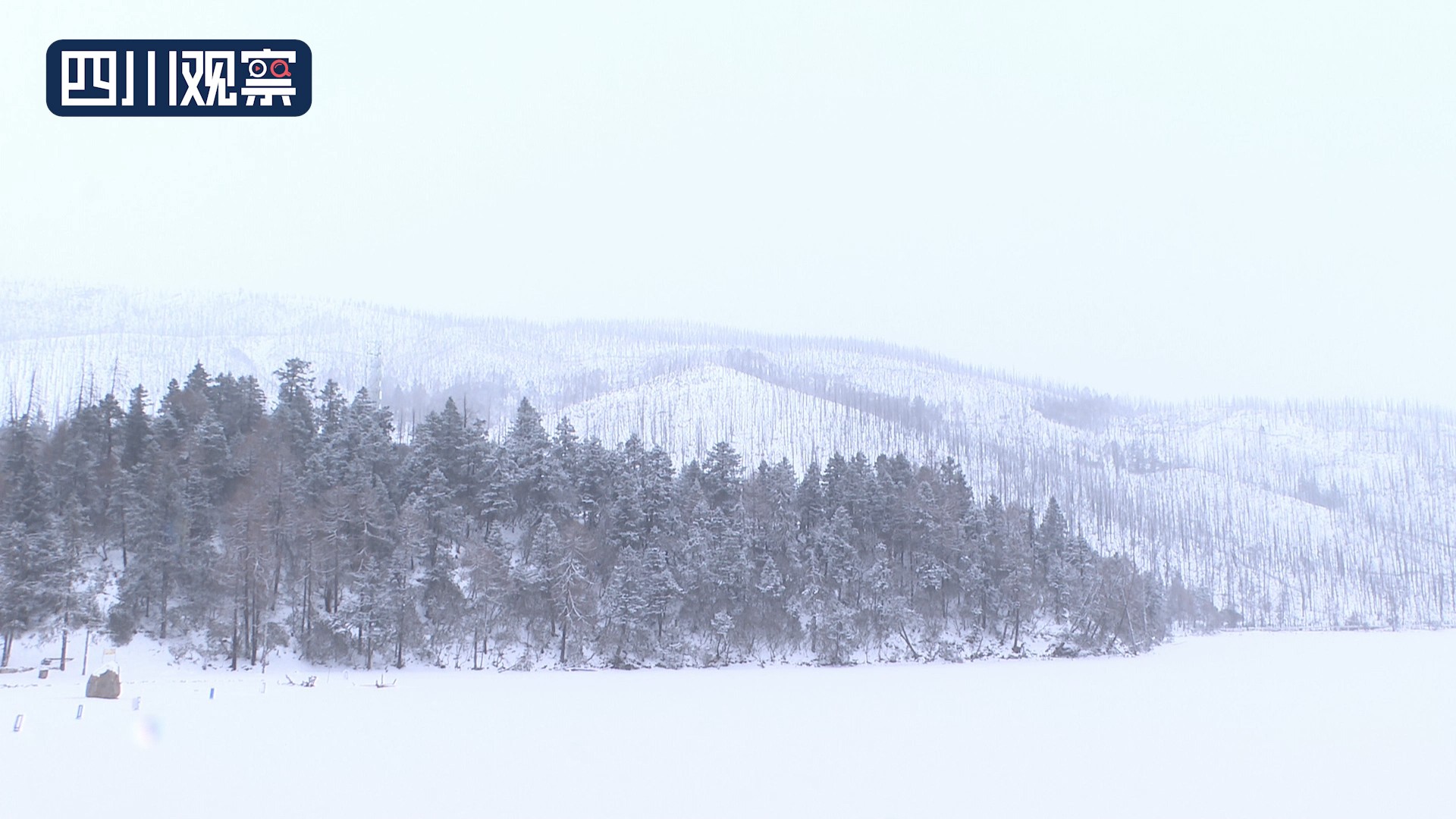 木格措门票19.9团购,5月19日木格措景区门票团购