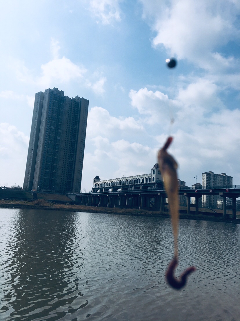 用老婆的菜篮子装新年的第一“金”