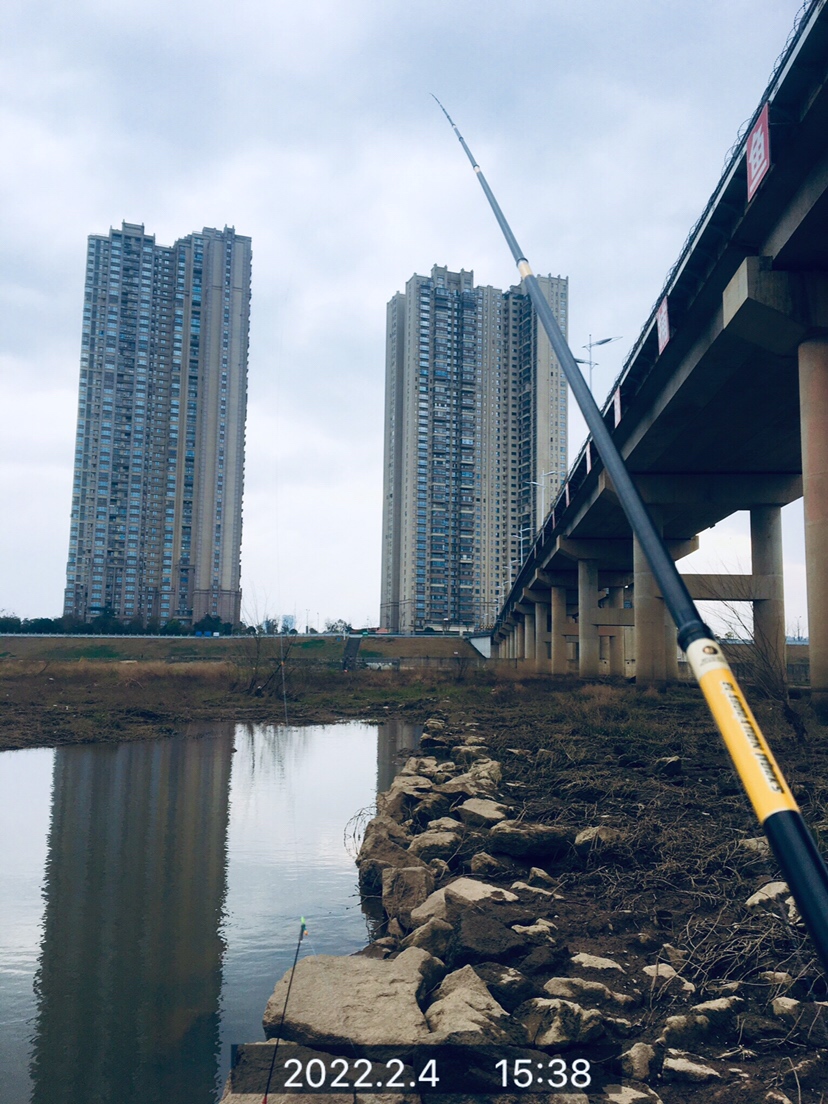 用老婆的菜篮子装新年的第一“金”