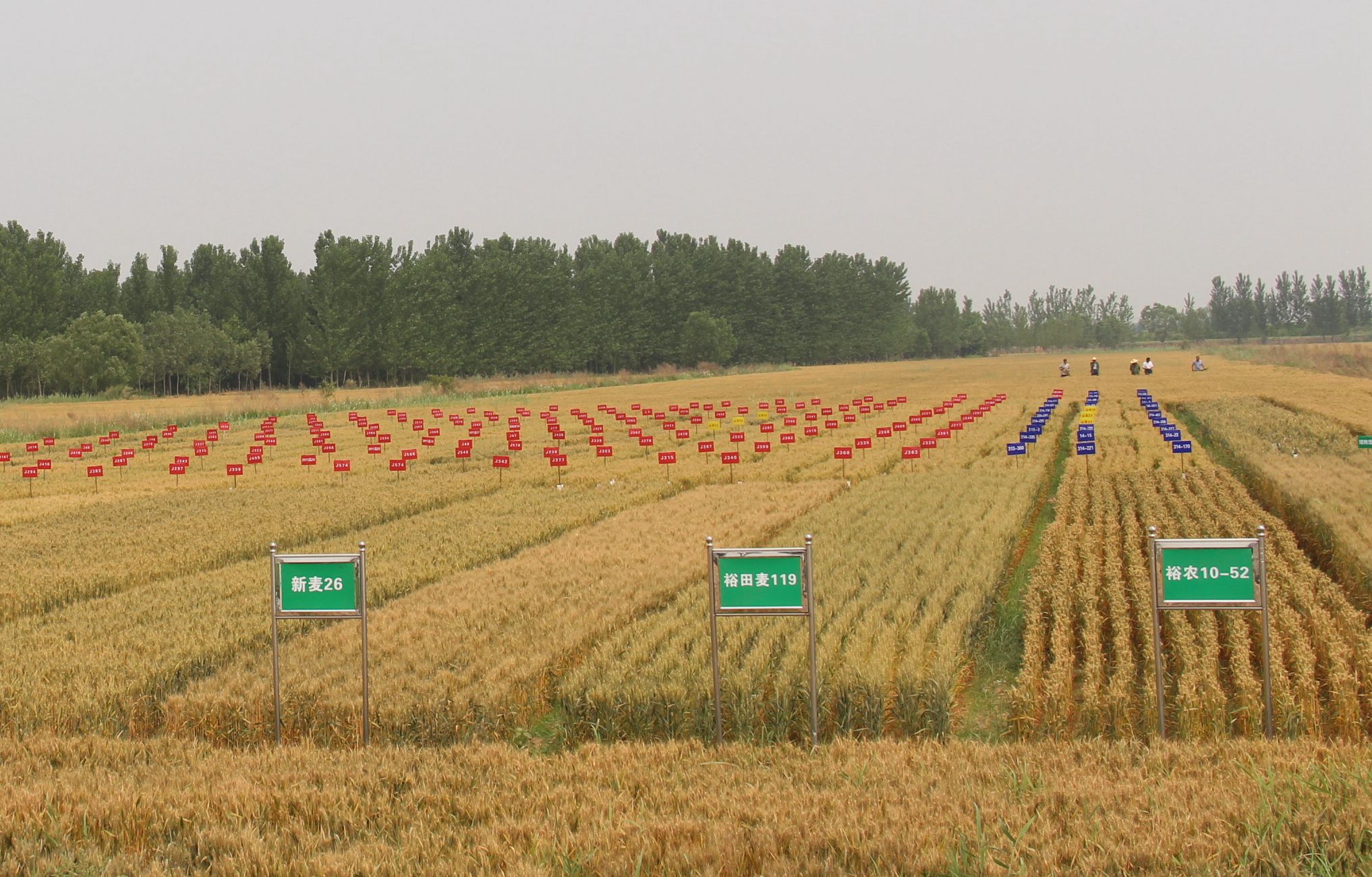 香港商报新闻报道,香港商报最新报道