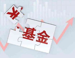 王宗合基金大幅度减仓,王宗合基金为啥最近收益太低