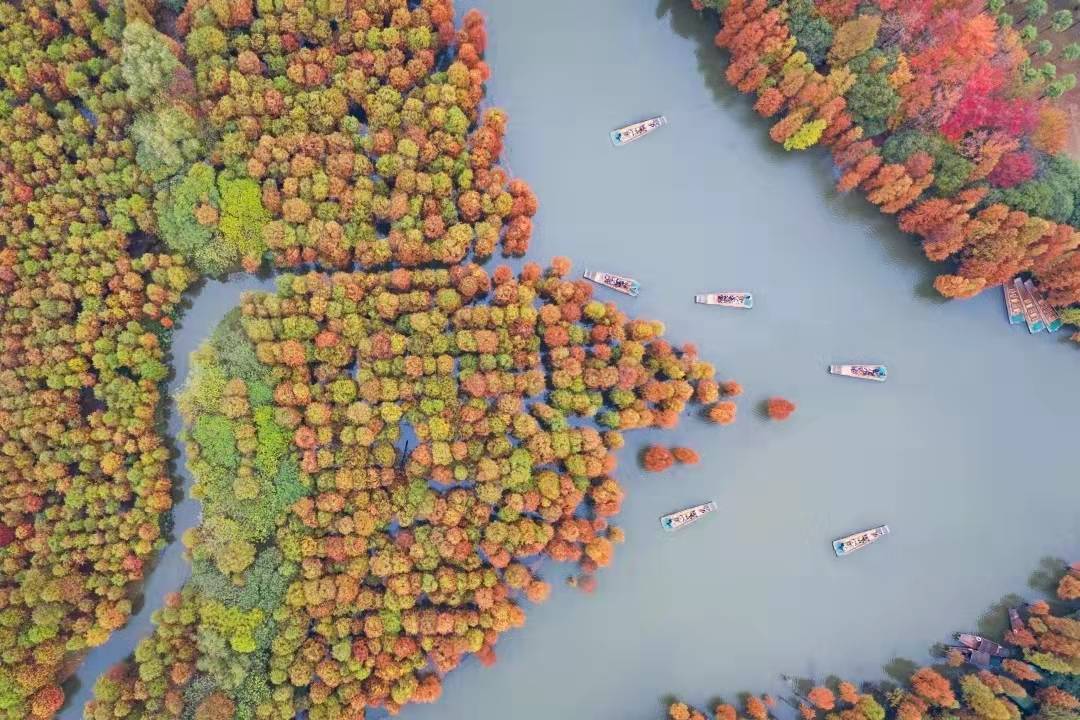 苏州春天旅行推荐,苏州春夏季旅游攻略最新