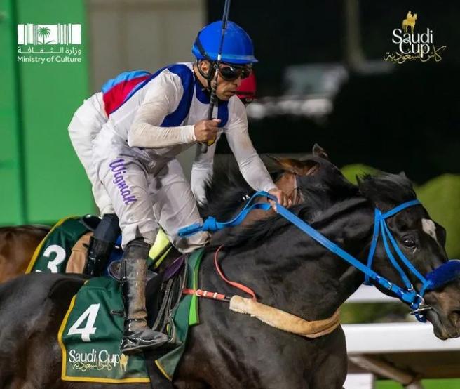 十大最强马匹排行,最新世界马匹排行榜8月