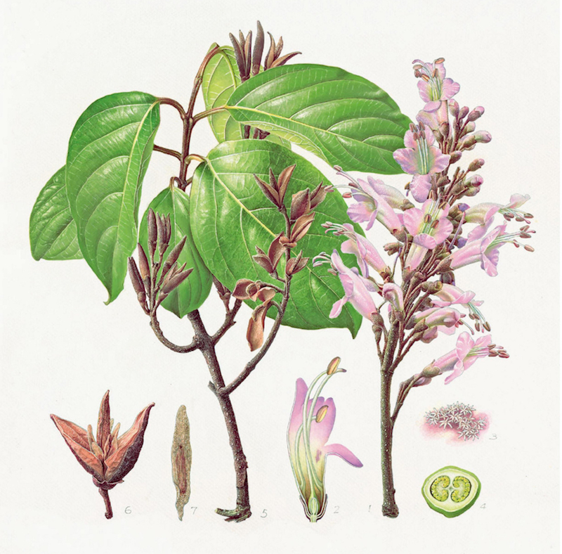 上官婉儿墓志展出,上官婉儿墓志首次面出