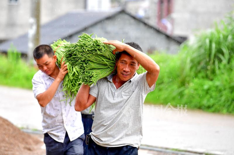 柳州螺蛳粉的配料和制作方法,正宗柳州螺蛳粉酸豆角