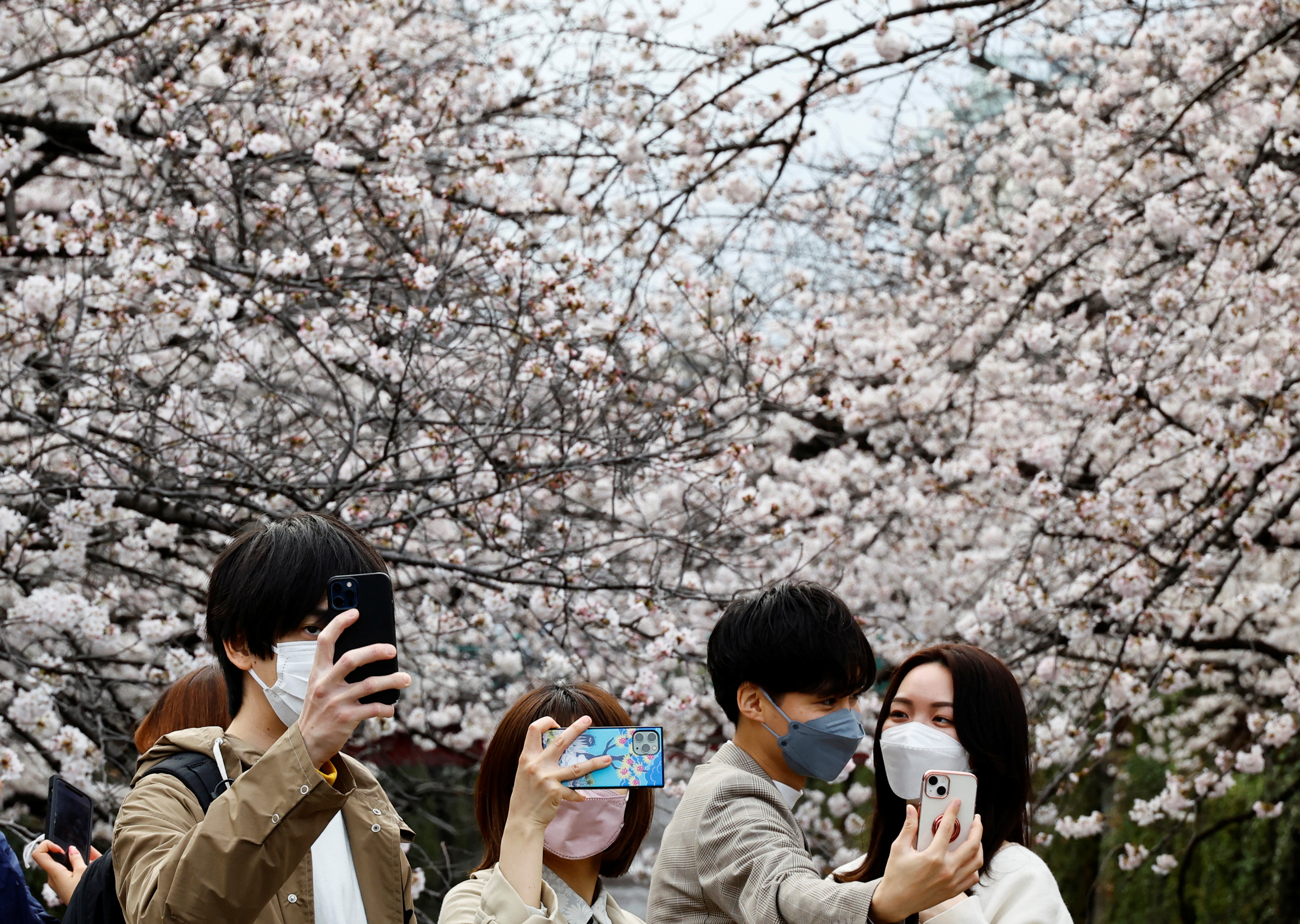 外代一线维也纳,外代一线铸造图片