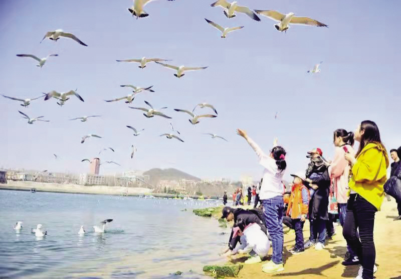 “赏花”花满滨城“玩乐”活动多彩