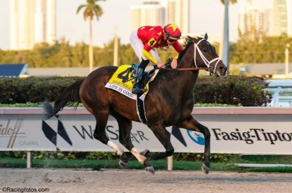 世界马拉松成绩最新排名,最新世界马王排名