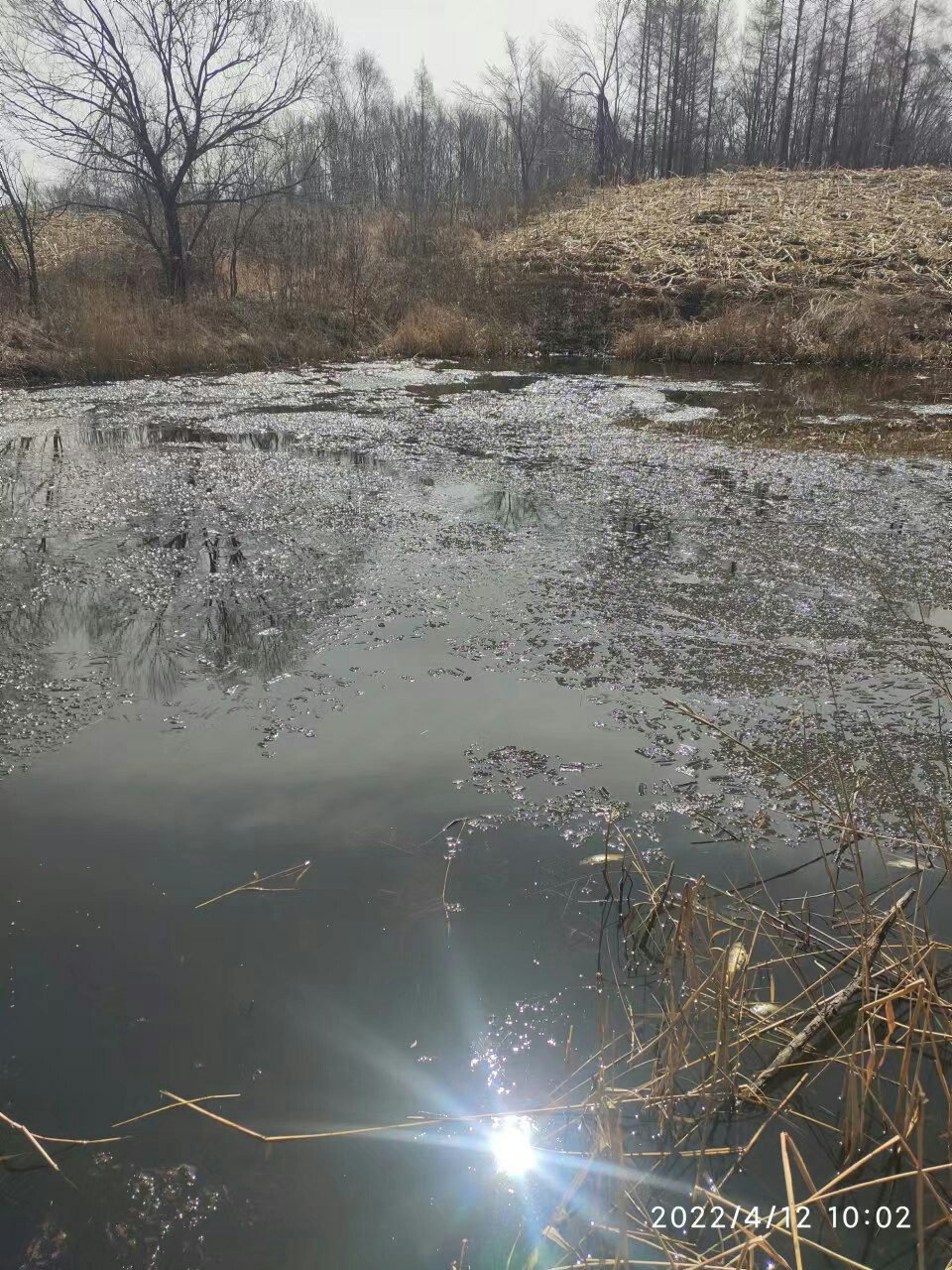 赶个晚潮流完整版,普通野钓罗非超细尾浮漂推荐