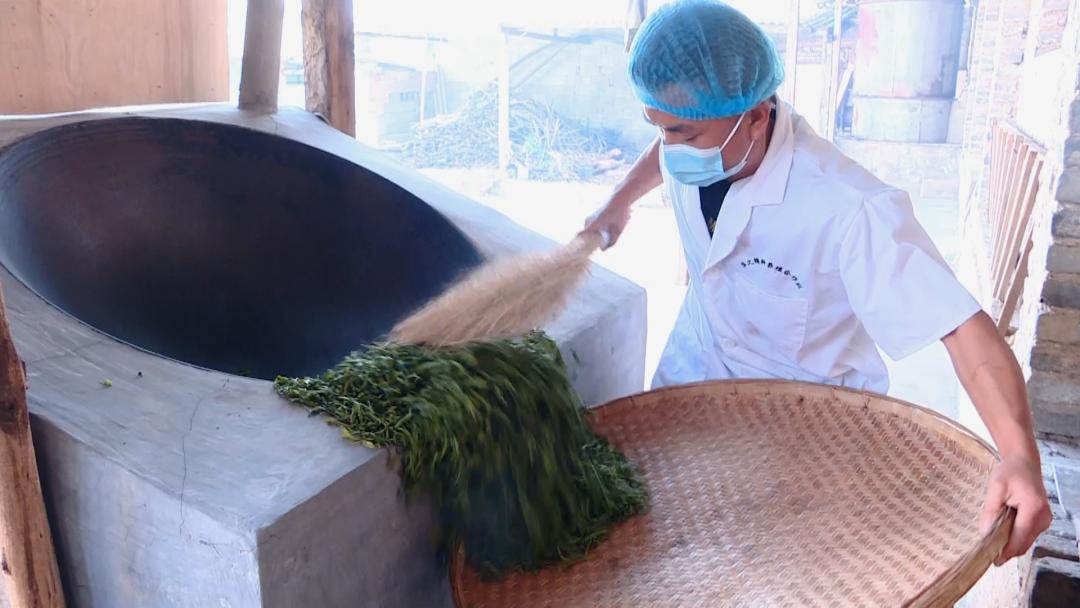 美轮美奂的天然茶园简直恍如仙境,华蓥市红岩茶园