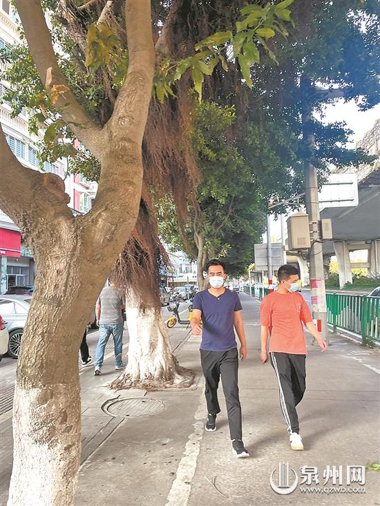 近期高温来袭户外,气温上升出现常见虫子