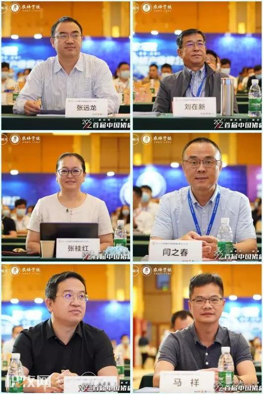 王声会：头均效益提高6376元！中芯种业蓝耳病净化体系详解