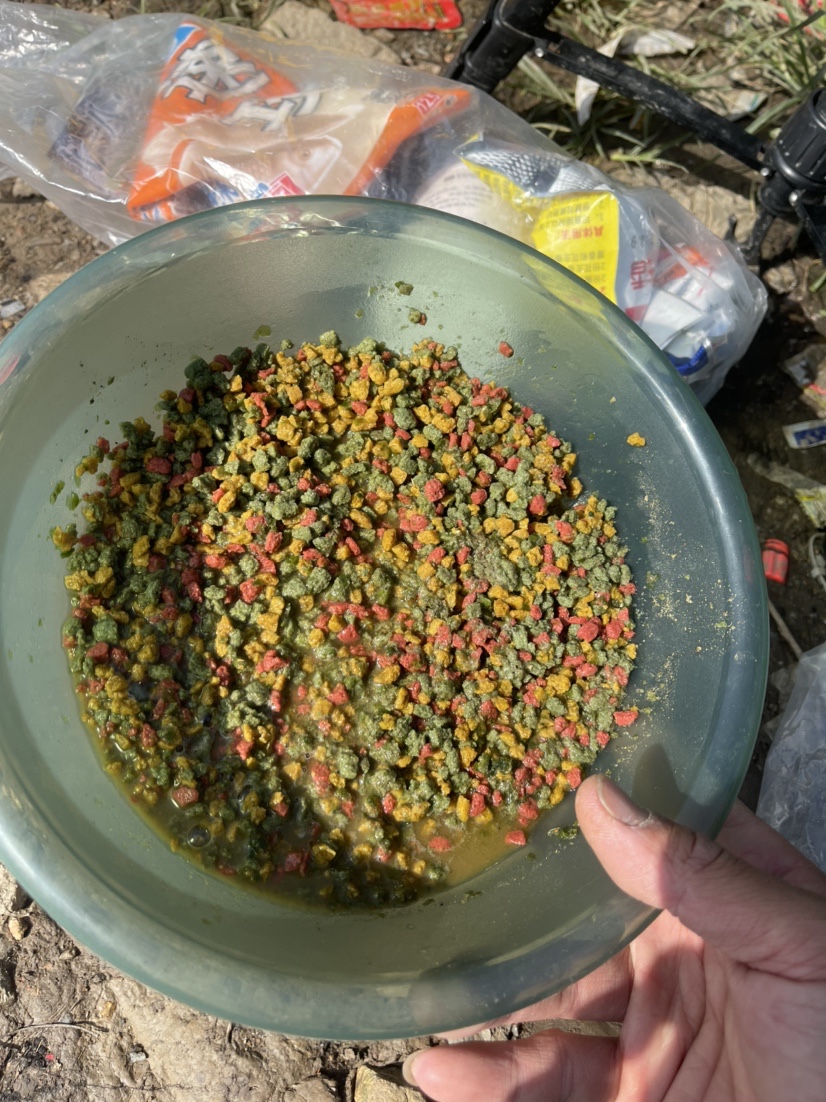 「518」小罗非垂竿自上，清道夫碳烤“美味”眼泪流