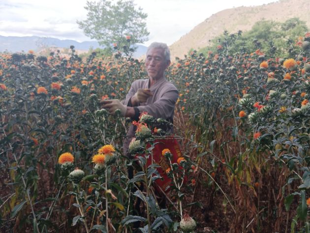 “小红花”开出好“钱”景
