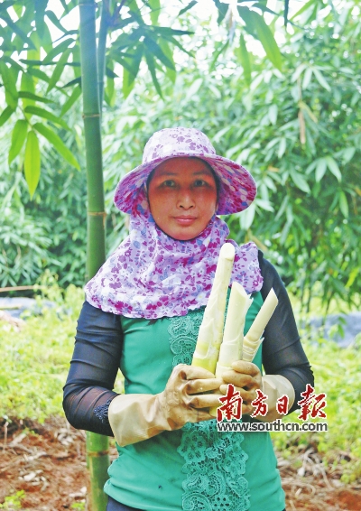 笋要剥到哪里,笋到家了前面一句是什么