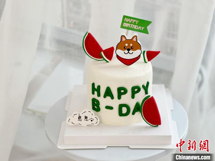 为什么当代年轻人养宠物,为什么年轻人喜欢养宠物