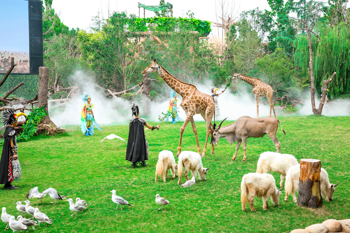 五一郑州周边适合带孩子玩的乐园,郑州周边幼儿六一儿童节旅游攻略