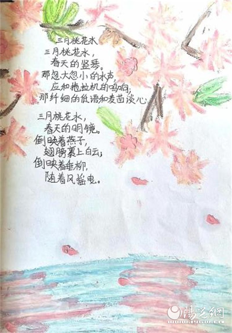 少华街小学语文综合实践活动,玉龙湖小学综合实践活动