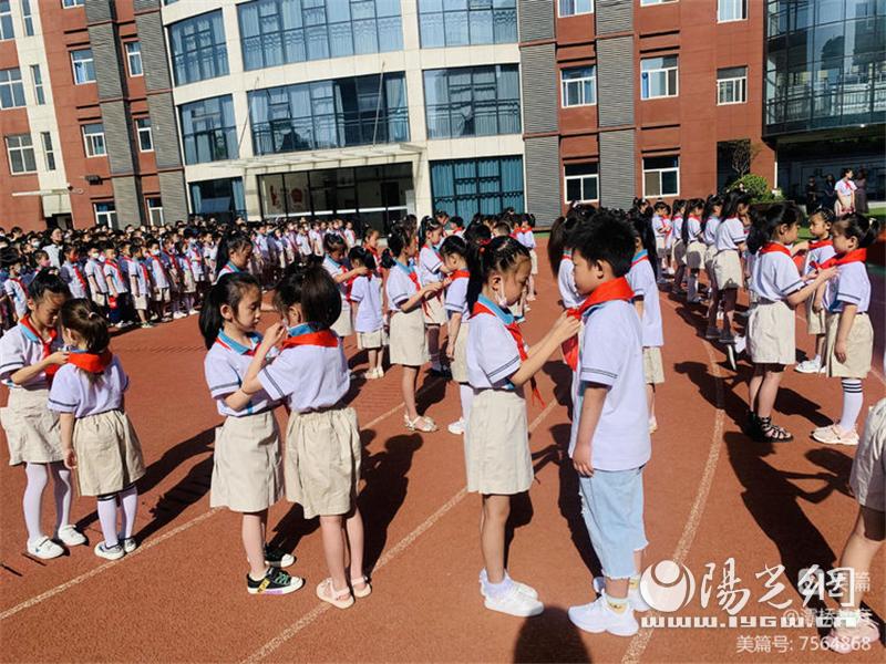 少先队员入队仪式暨表彰大会,少先队入队暨表彰大会流程