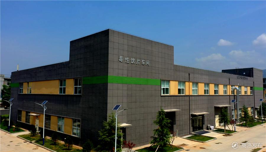 丹凤第二季度开工项目,2018年丹凤县重点项目开工