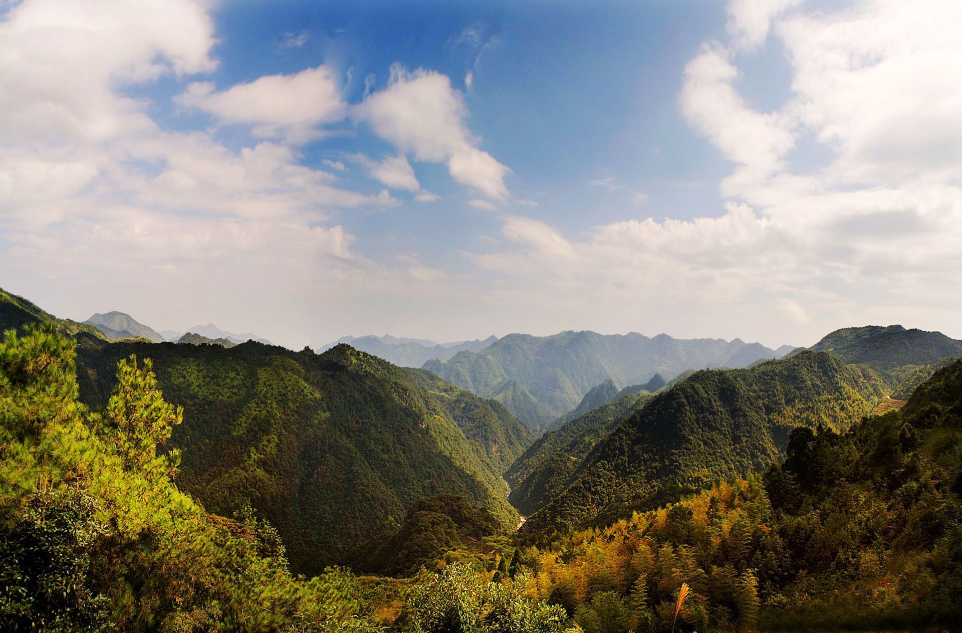 闽东之光丨郑承东：一条路的血色九贝（一）
