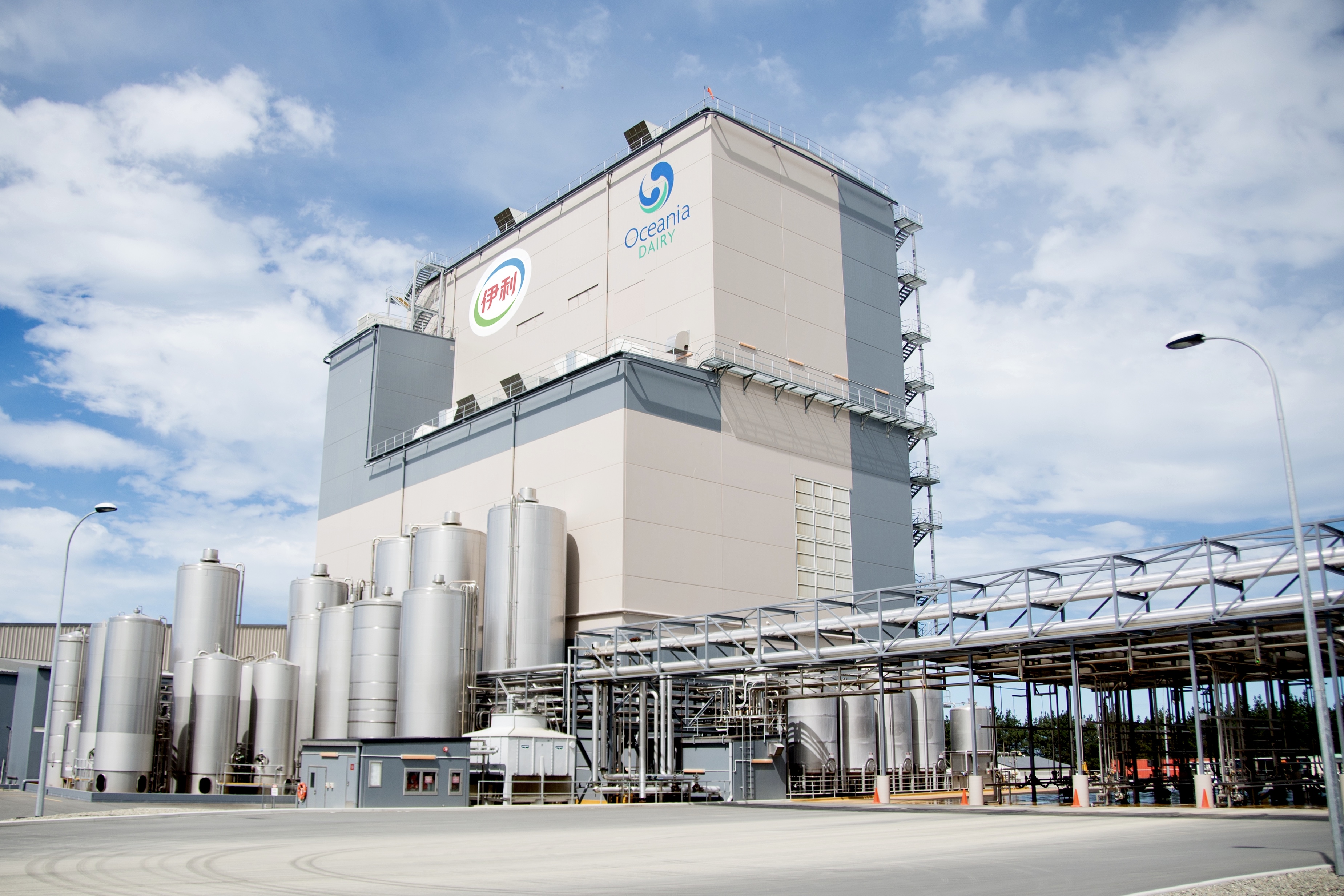 茶马古道上又传来马帮的驼铃声,茶马古道茶叶香