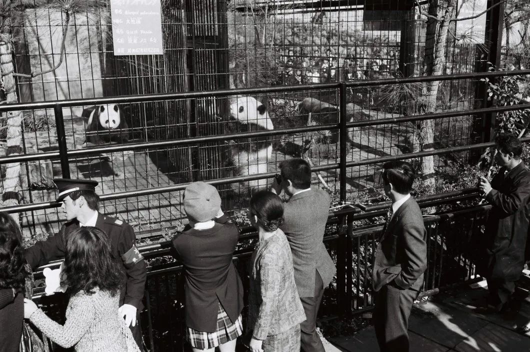 看展览感受变迁参观感想,参观看今朝展厅后的感想